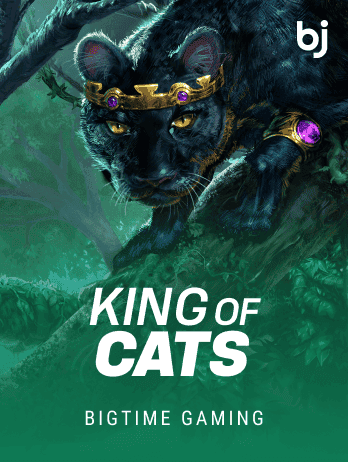 King of Cats game icon